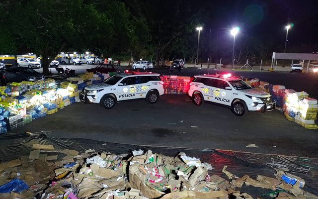 Fardos da droga estavam escondidos em meio a carga de papelão. Foto: PMRv