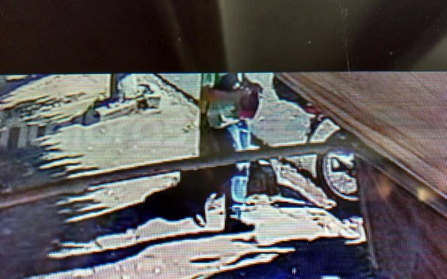 Ladrão foi flagrado por câmeras de segurança, cometendo o furto. Foto: DIVULGAÇÃO