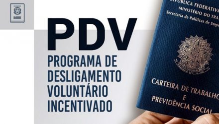 pdvi