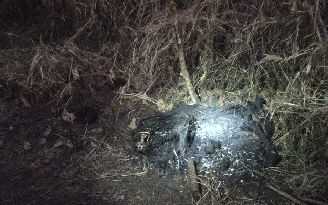 Corpo foi encontrado carbonizado. foto: RP10