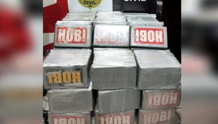 Operação da Polícia Civil de Araçatuba (SP) apreendeu 220 tijolos de cocaína — Foto: Polícia Civil/Divulgação