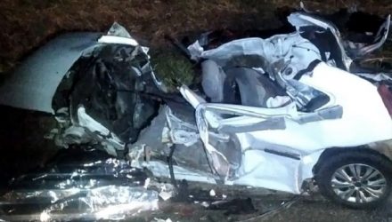 Idoso, de 67 anos, morre após acidente de trânsito na SP-563, em Monte Castelo (SP) — Foto: Polícia Rodoviária