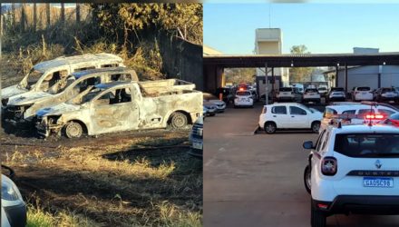 Incêndio destrói mais de 20 veículos de empresa de locação e venda de automóveis — Foto: Igor Rosa /TV TEM