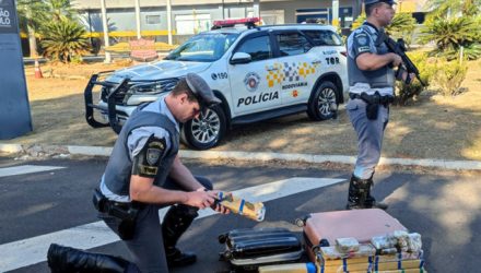 Polícia Militar Rodoviária prende mulher por tráfico de drogas e apreende tijolos de maconha em Araçatuba — Foto: Polícia Militar/Divulgação