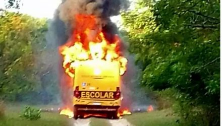 Ônibus pegou fogo em estrada rural de Brasilândia (MS). (Reprodução)