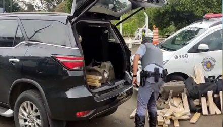 Casal foi preso transportando carregamento de maconha na Rodovia Raposo Tavares, em Assis — Foto: Polícia Rodoviária/Divulgação
