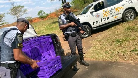 Um homem foi preso com mais de 580 quilos de maconha, em Pirapozinho (SP) — Foto: Polícia Rodoviária