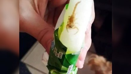 escorpiao_sorvete