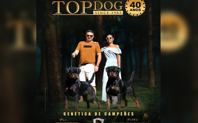 top_dog1