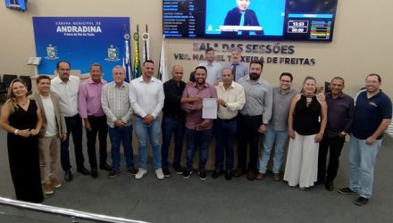 camara_verba1