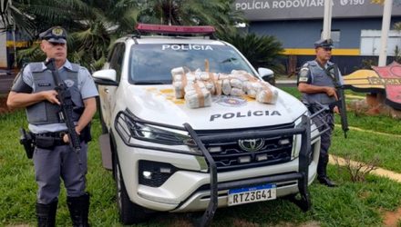 trafico_skunk1