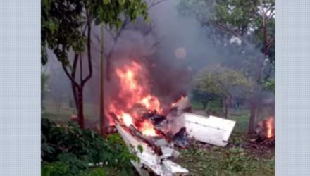 Monomotor cai em Jaboticabal (SP) e deixa mortos — Foto: Redes sociais