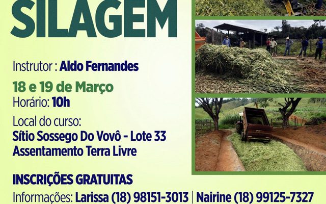 silagem1