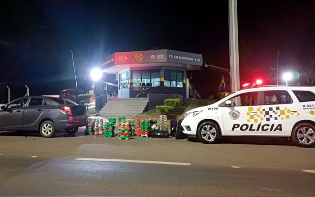 Homem foi preso com mais de 500 tijolos de maconha na Raposo Tavares em Assis — Foto: Polícia Rodoviária/Divulgação