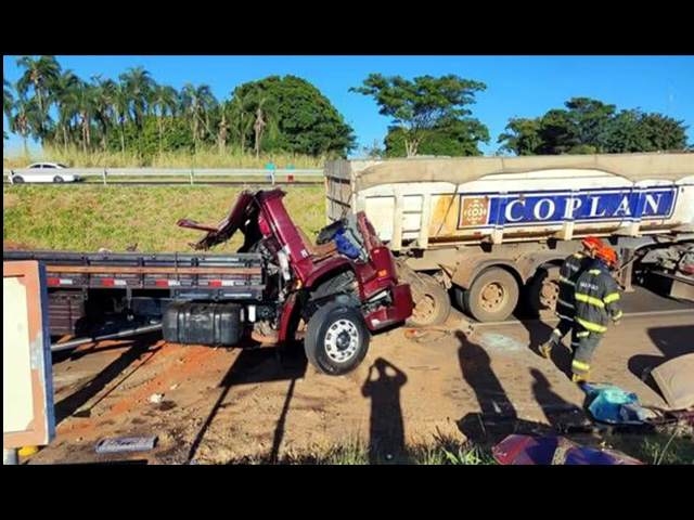 Luciamar Garcia Lourenção morreu ao bater contra caminhão em Fernandópolis (SP) — Foto: Arquivo pessoal
