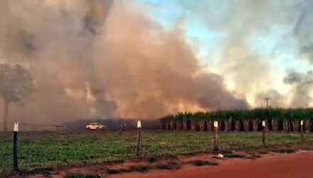 incendio_cana1
