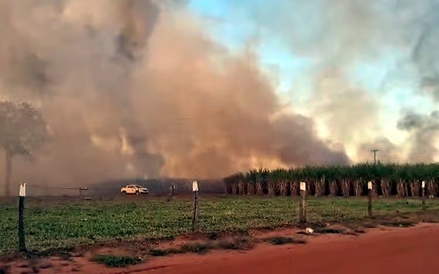 incendio_cana1