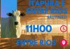 leilao_itapura1