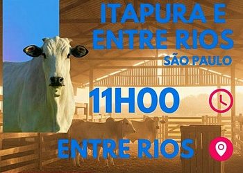 leilao_itapura1