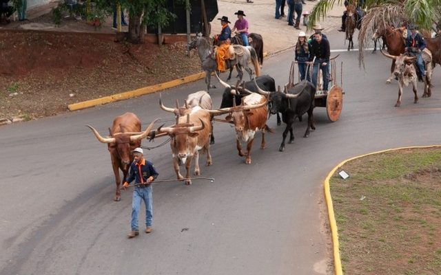 cavalgada 6